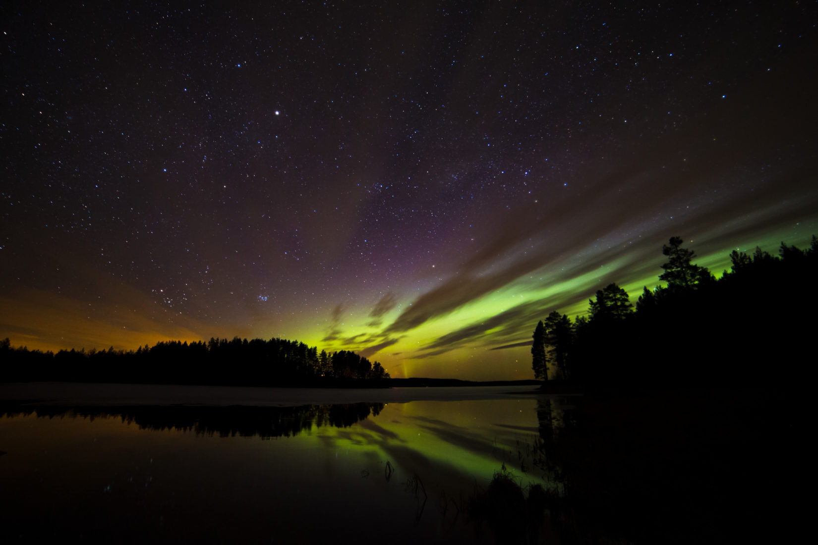 Northern lights Foto: Anders Tedeholm/imagebank.sweden.se