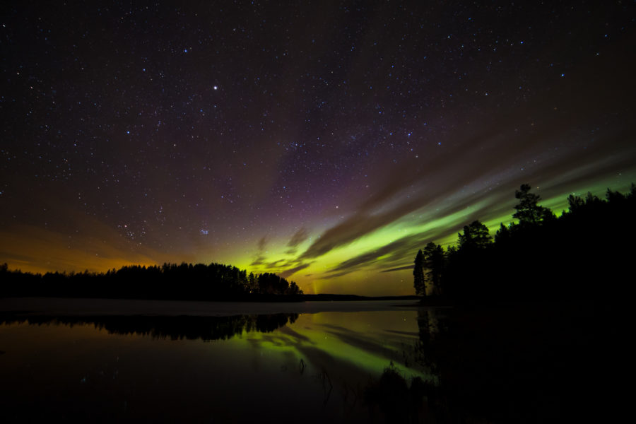Northern lights Foto: Anders Tedeholm/imagebank.sweden.se
