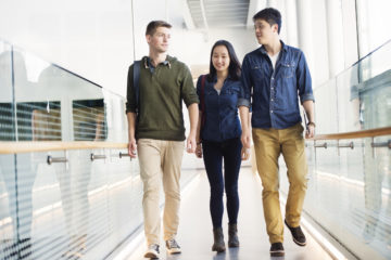 Higher Education in Sweden
