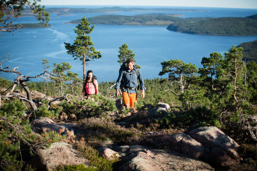 friluftsbyn_höga_kusten-hiking_in_the_high_coast-3752