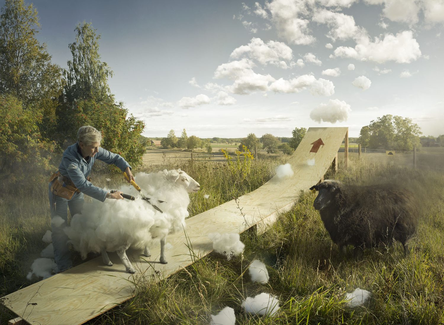 Foto av Erik Johansson. En kvinna klipper ett får, vita håbollar flyger i luften och förvandlas till molntussar. Vad är vad?