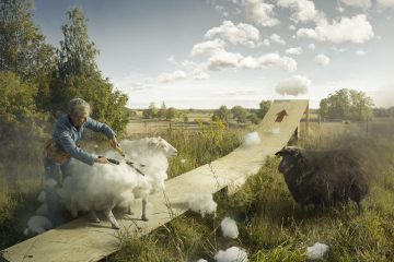 Foto av Erik Johansson. En kvinna klipper ett får, vita håbollar flyger i luften och förvandlas till molntussar. Vad är vad?