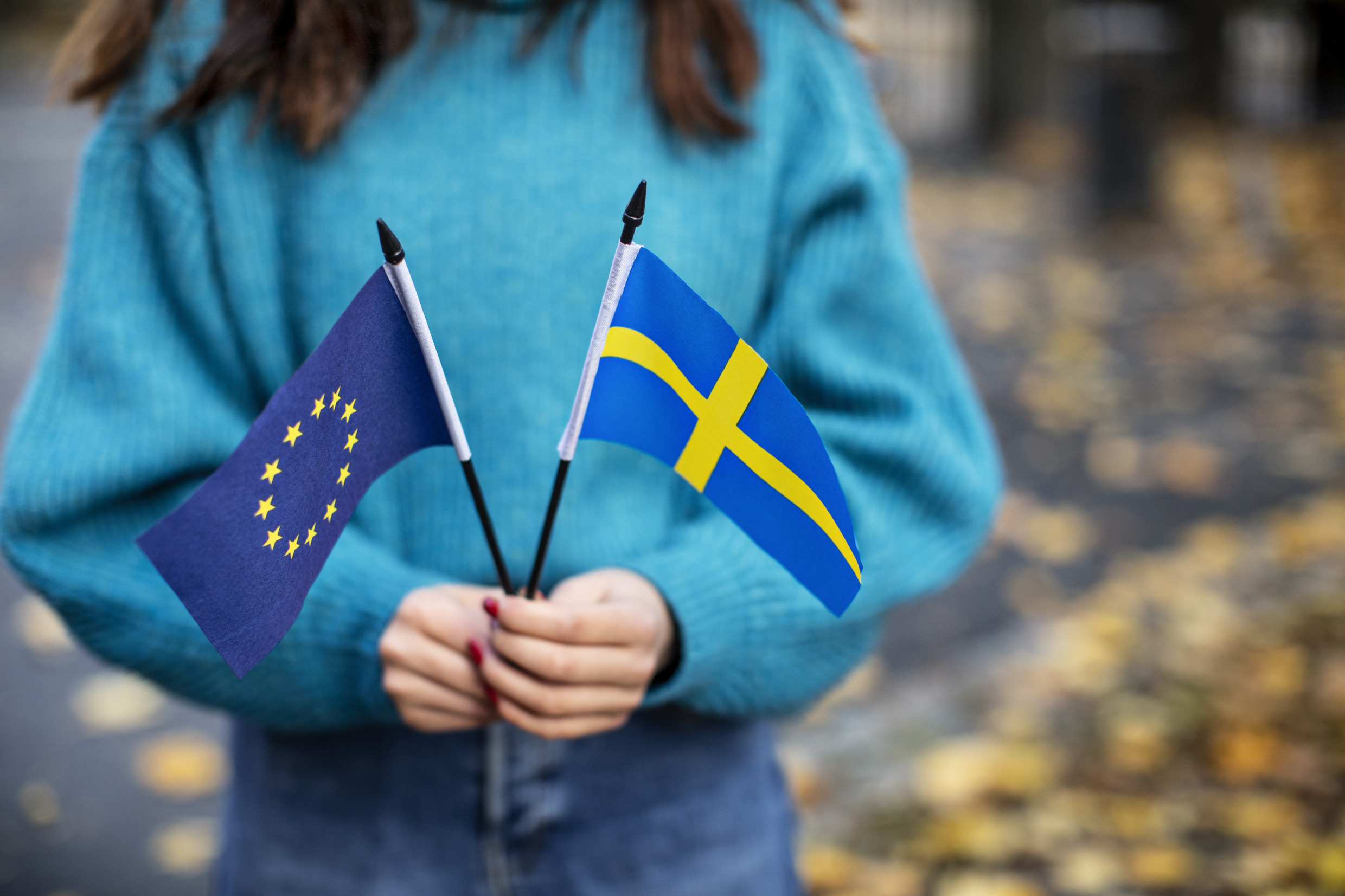 C’est ainsi que la Suède est perçue dans les autres pays de l’UE