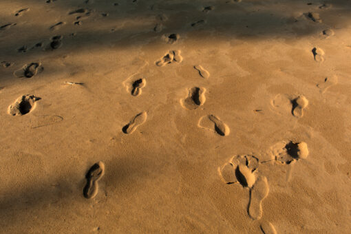 Foot prints in the sand