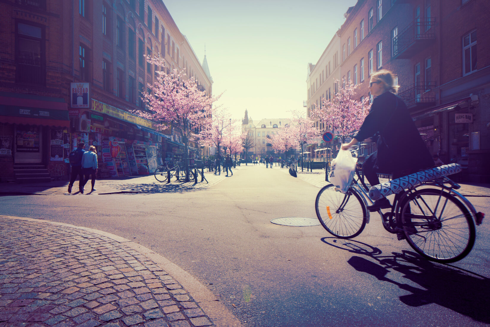 Bilden är ett rapportomslag och visar en stadsdel i Malmö.
