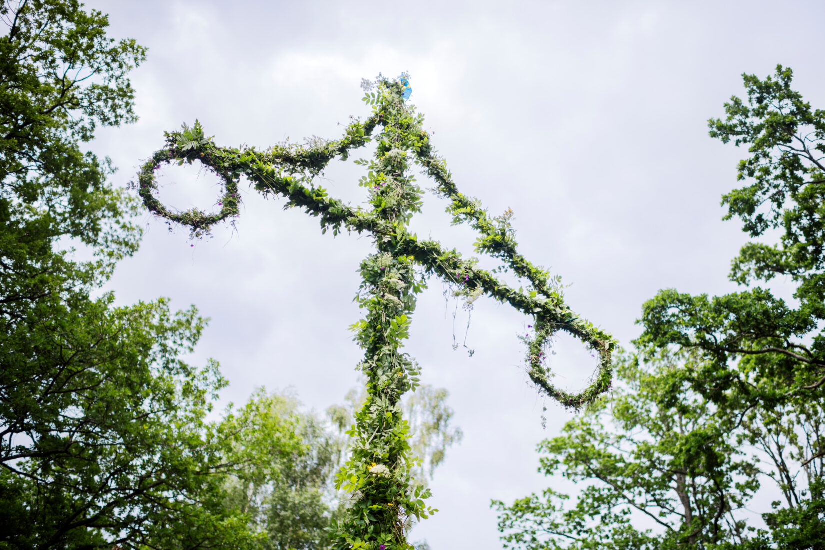 Midsommarstång